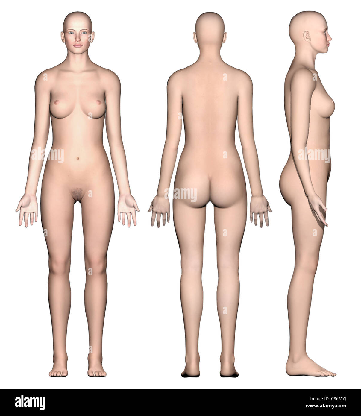 Questo medico di presentare caratteristiche di un anteriore, posteriore e laterale schematica della figura femminile. Foto Stock