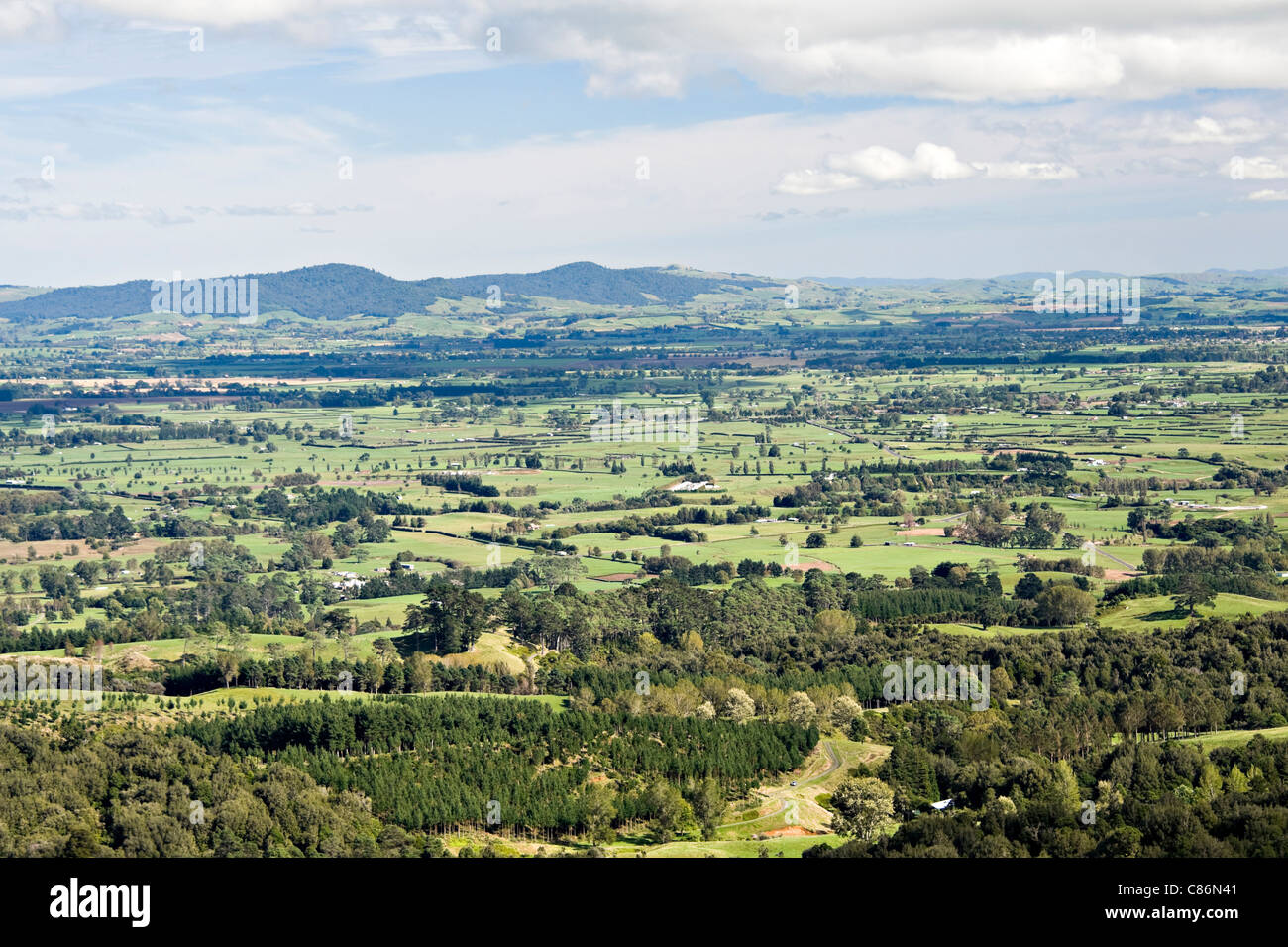 La paesaggistica campagna vista dal Belvedere Kaimai verso Hamilton e Pirongia Isola del nord della Nuova Zelanda NZ Foto Stock