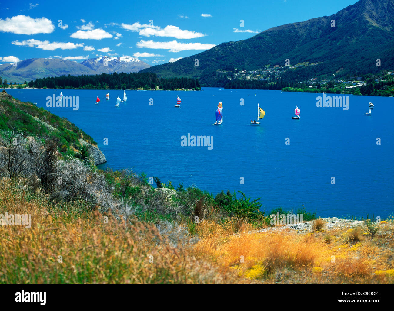 Coloratissime vele sul lago Wakatipu nel sud dell'isola vicino a Queenstown in Nuova Zelanda Foto Stock