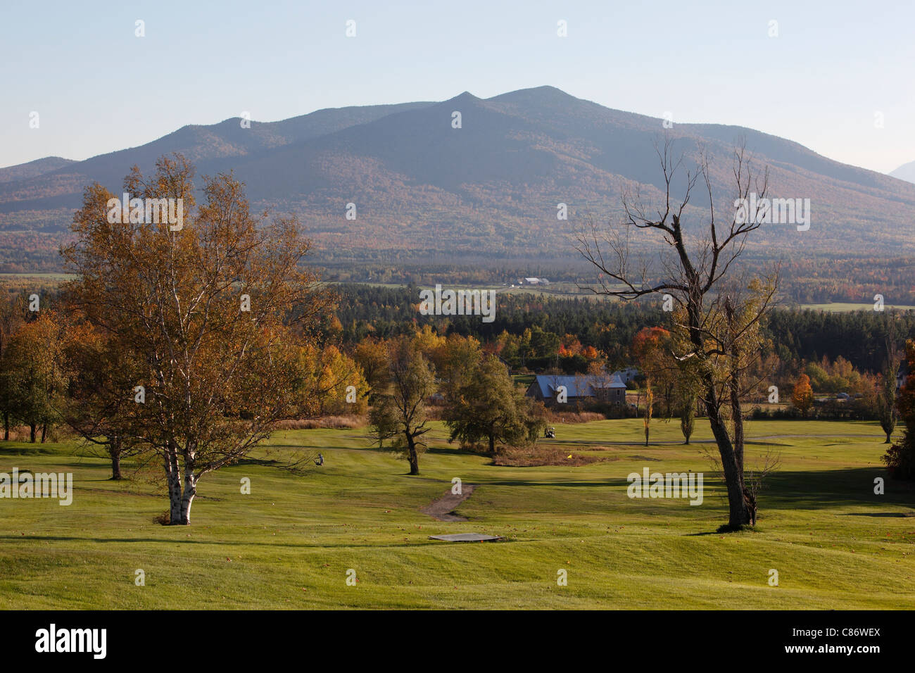 Il fogliame di autunno nelle White Mountains, New Hampshire Foto Stock