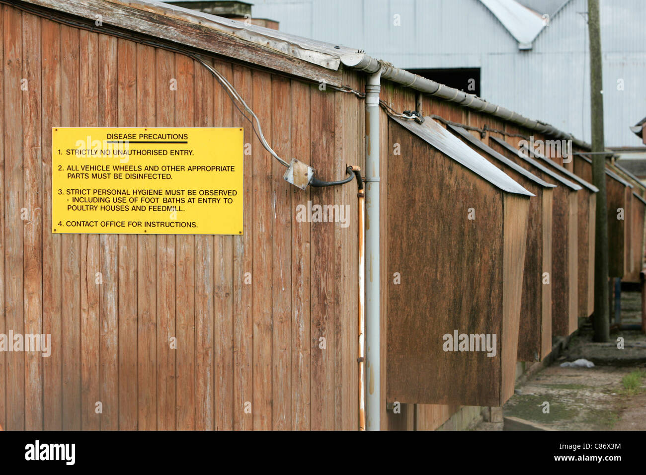 Cartelli di avvertimento sulla batteria hen capannoni su un allevamento di polli in North Antrim, Irlanda del Nord come timore di comparsa di un focolaio di influenza aviaria H5N1 nel Regno Unito aumenta Foto Stock