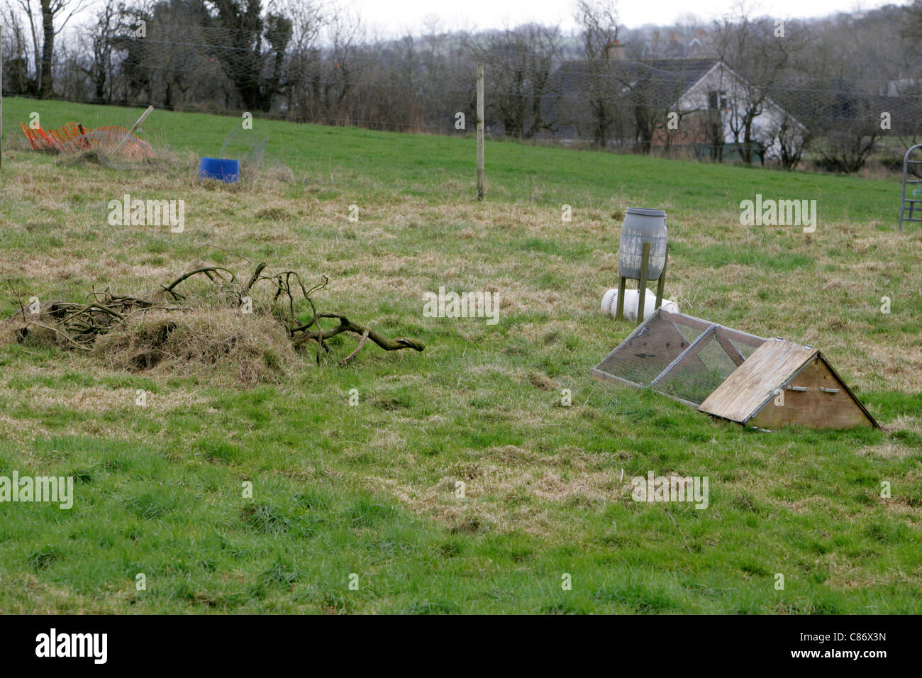 Free range hen farm in North Antrim, Irlanda del Nord come timore di comparsa di un focolaio di influenza aviaria H5N1 nel Regno Unito aumenta Foto Stock