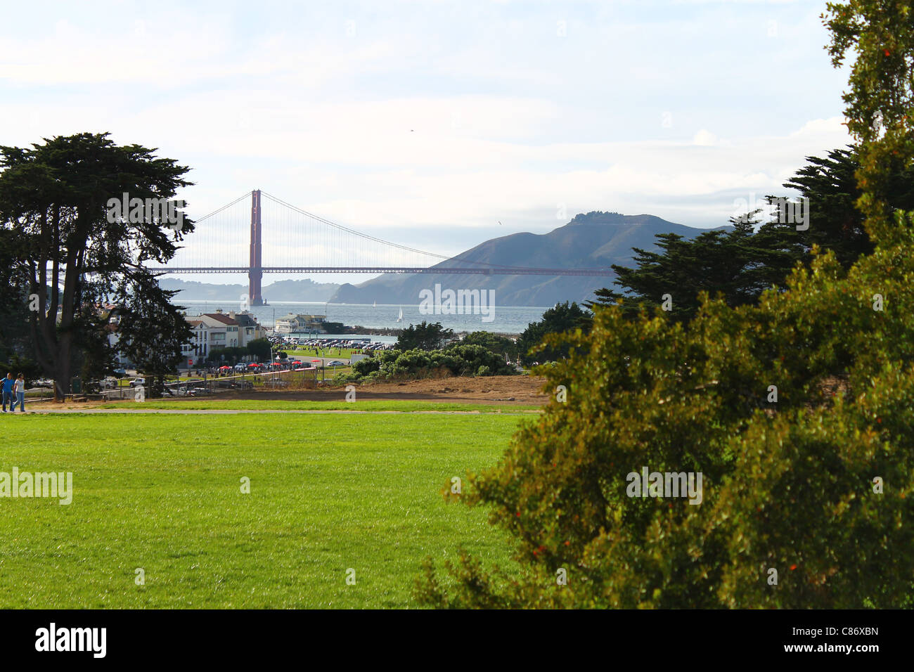 Il verde e il ponte Foto Stock