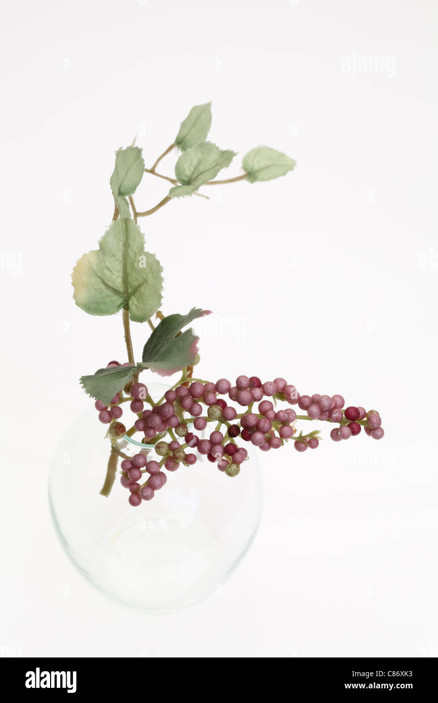 Bottiglia di vetro e uva, su sfondo bianco Foto Stock