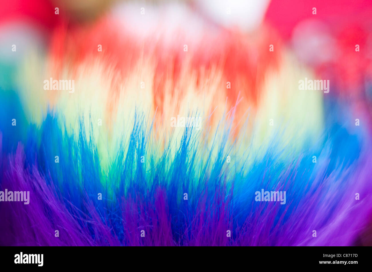 Peloso spettro arcobaleno Foto Stock
