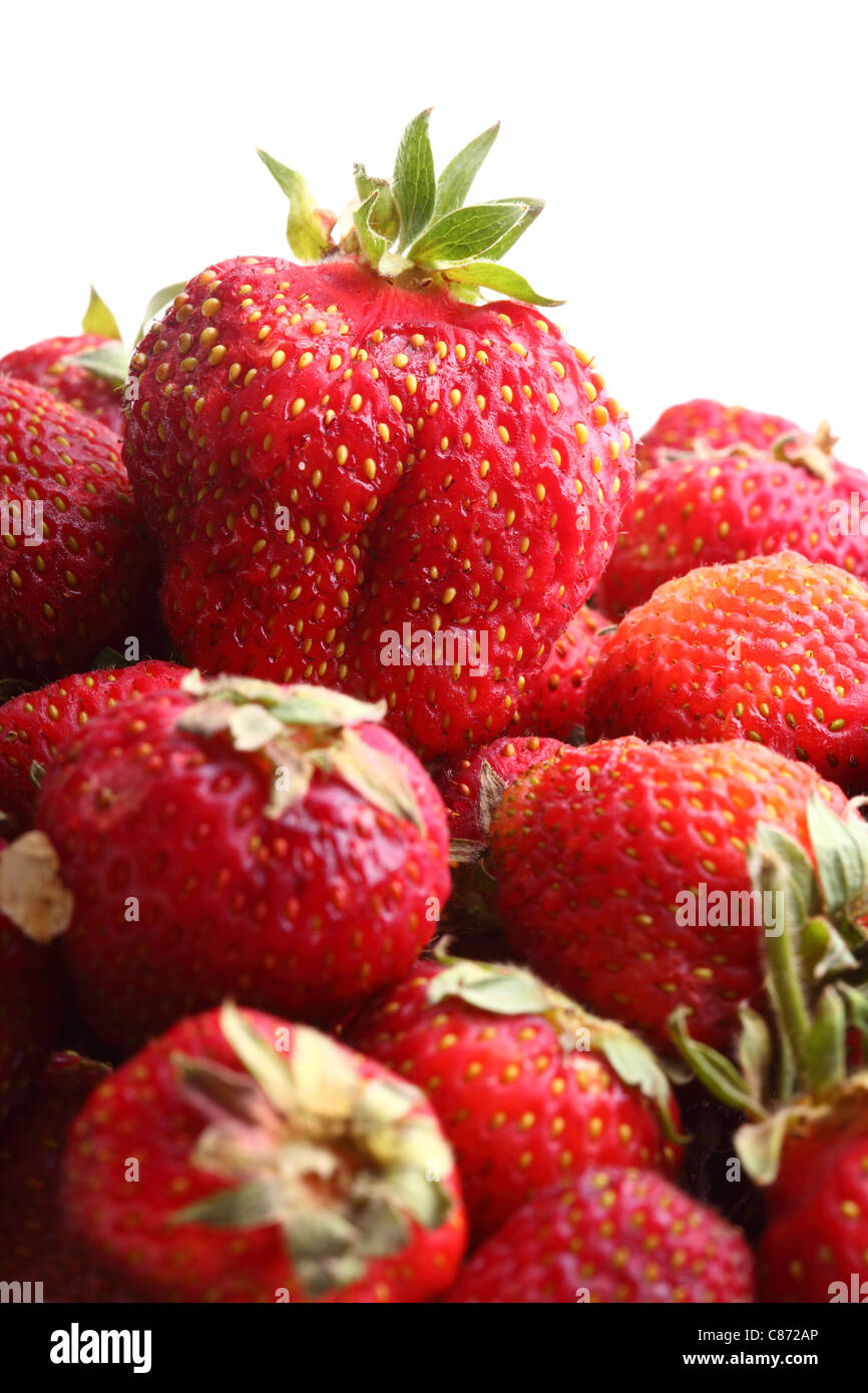 Rosso fresco Fragole isolato su sfondo bianco Foto Stock
