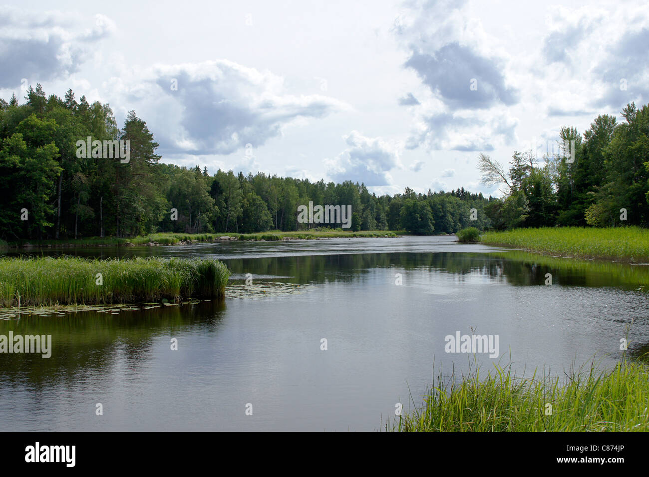 Fiume svedese circondato da reed e foresta, Hedesunda, Svezia Foto Stock