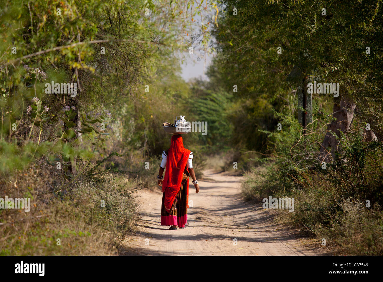 Indian Bishnoi donna recipiente portante per il pranzo dei lavoratori agricoli nei pressi di Rohet nel Rajasthan, India settentrionale Foto Stock