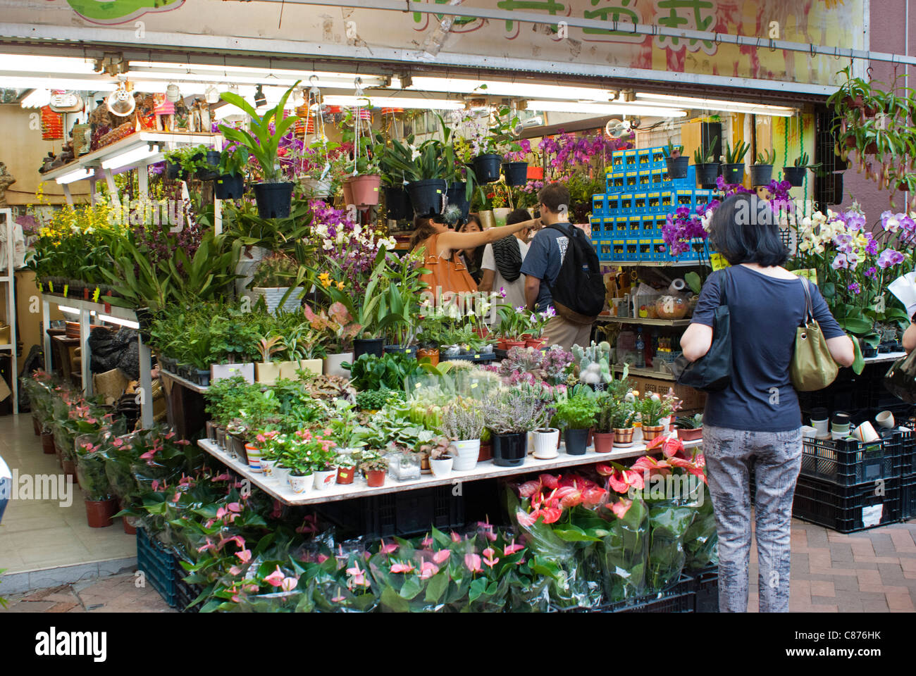 Il mercato dei fiori, Kowloon, Hong Kong Foto Stock