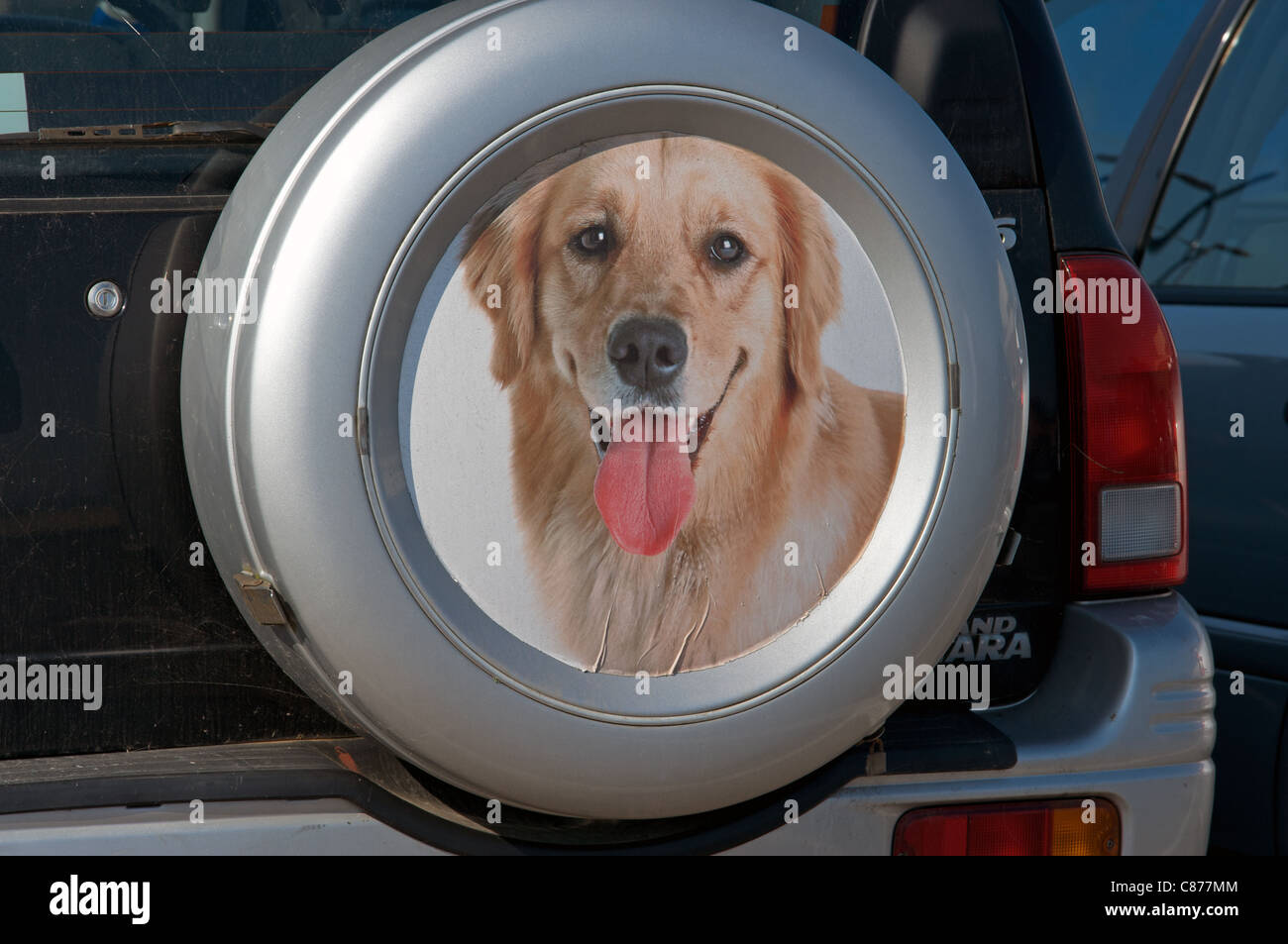 Fotografia di proprietari cane sulla copertura della ruota di scorta di un 4x4 car Foto Stock