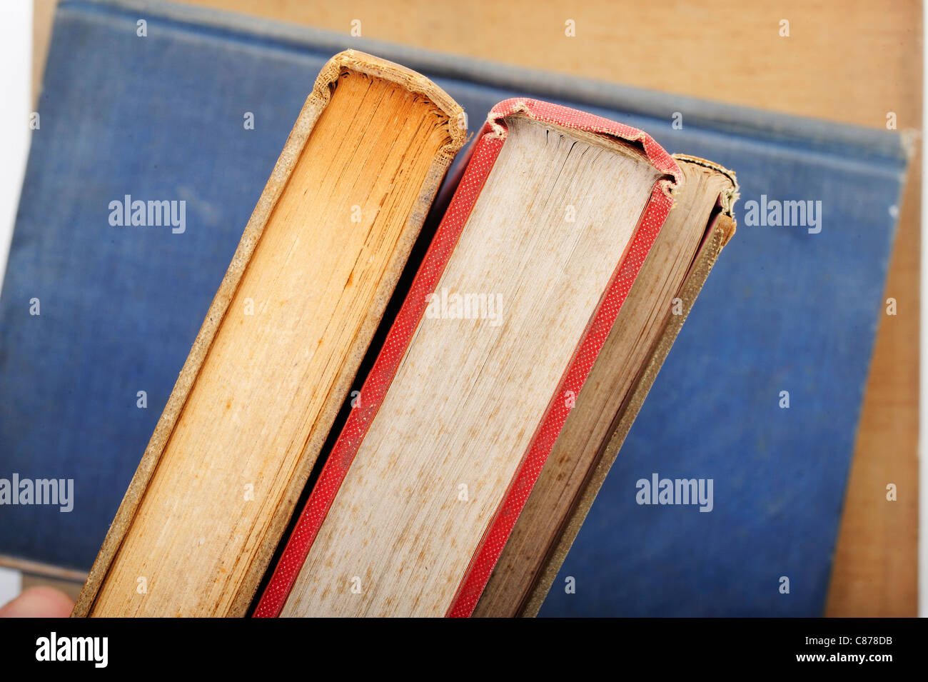 Vecchio libro su sfondo bianco Foto Stock