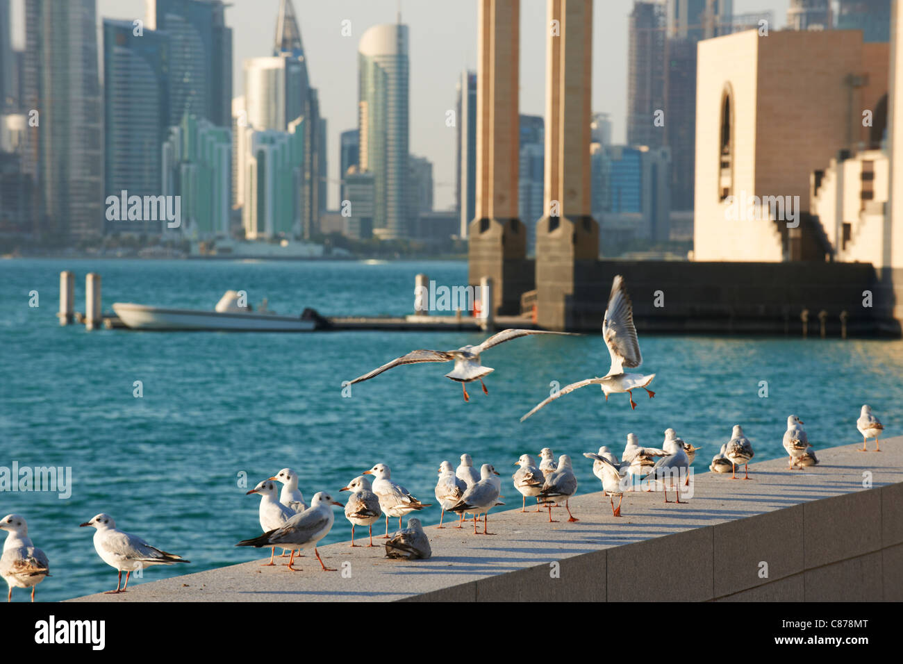Gabbiani corniche museo islamico arte doha skyline della città in Qatar Foto Stock