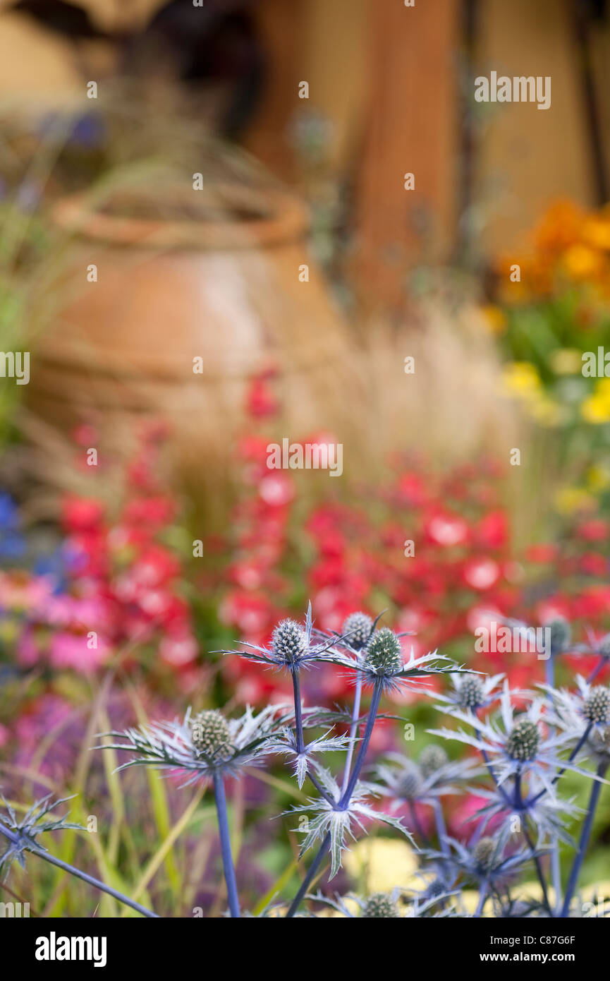"Dipinto con piante" torna a giardino sul retro, 2011 RHS Flower Show Tatton Park Foto Stock