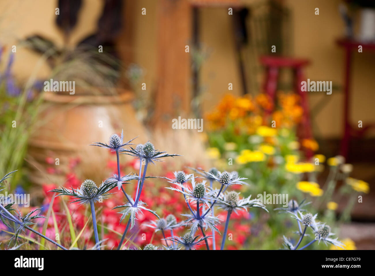 "Dipinto con piante" torna a giardino sul retro, 2011 RHS Flower Show Tatton Park Foto Stock