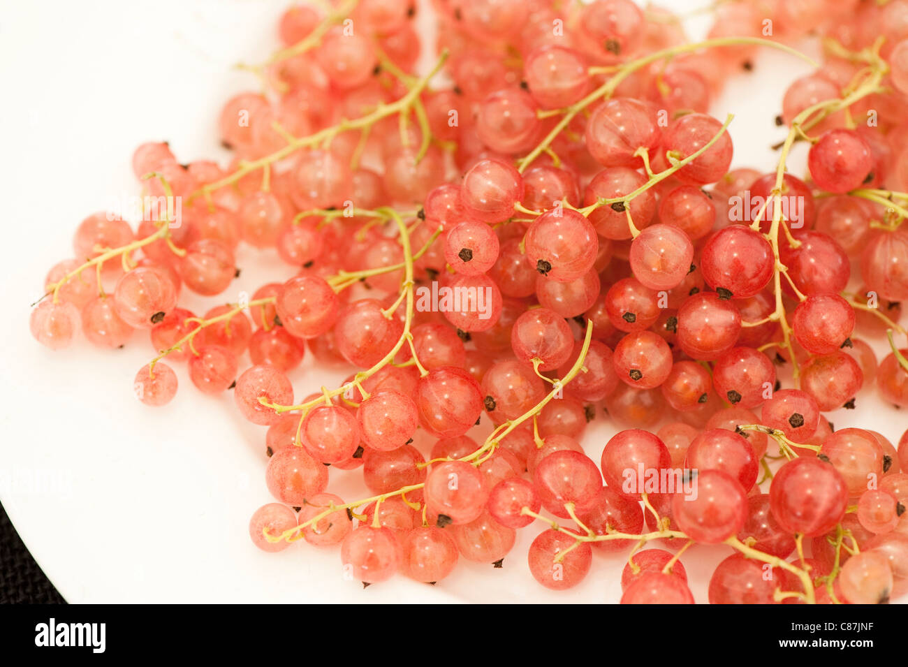 Ribes bianco, Ribes rubrum "Champagne", sul display nella frutta estiva concorrenza, 2011 RHS Flower Show Tatton Park Foto Stock