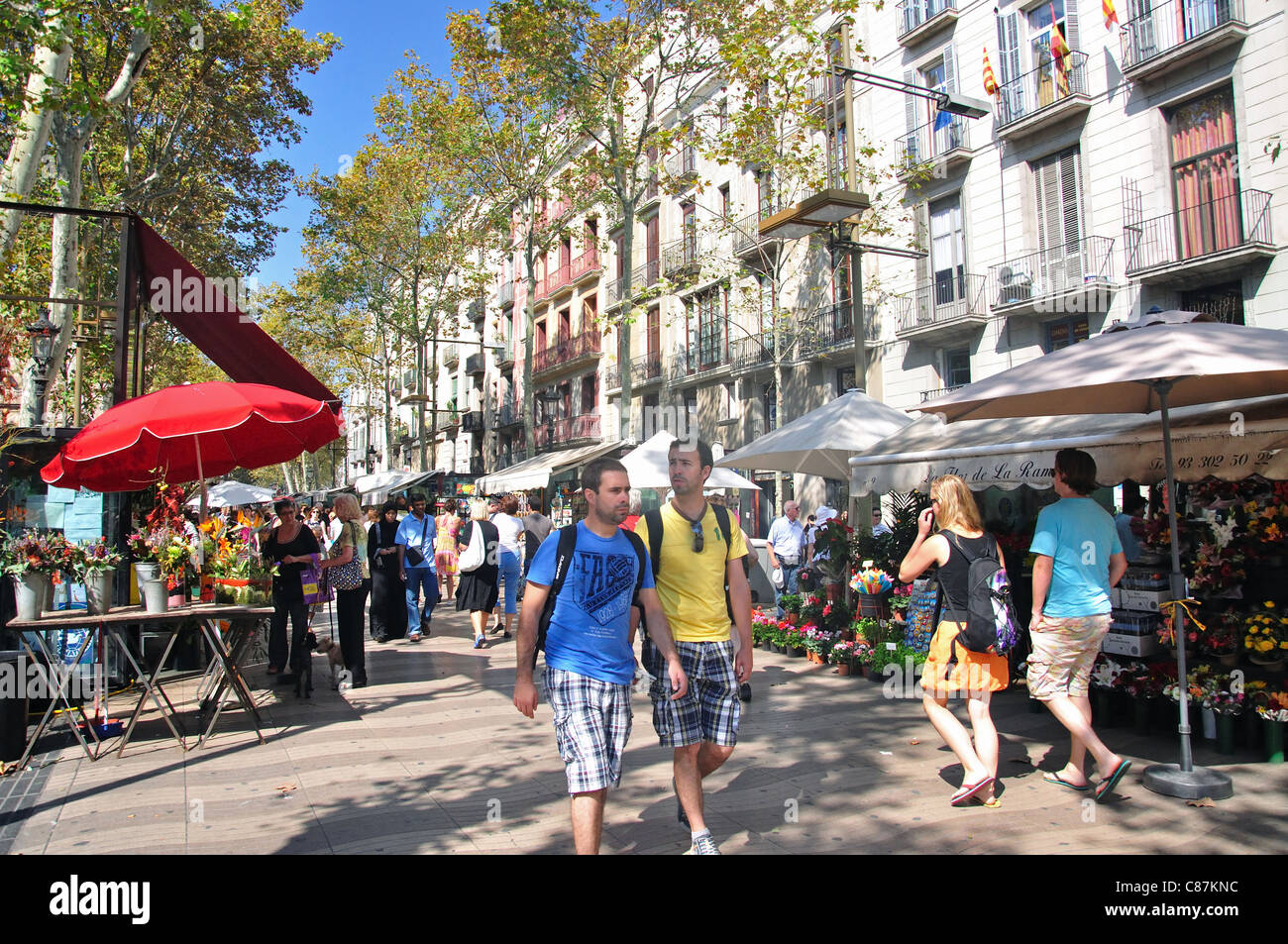 Bancarelle di fiori in La Rambla, Ciutat Vella distretto, Barcellona, provincia di Barcelona, Catalogna, Spagna Foto Stock
