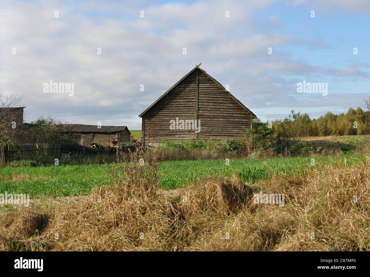 Legno fienile annesso e un campo in Polonia, la Masuria regione Foto Stock Legno fienile annesso e un campo in Polonia, la Masuria regione Foto Stock