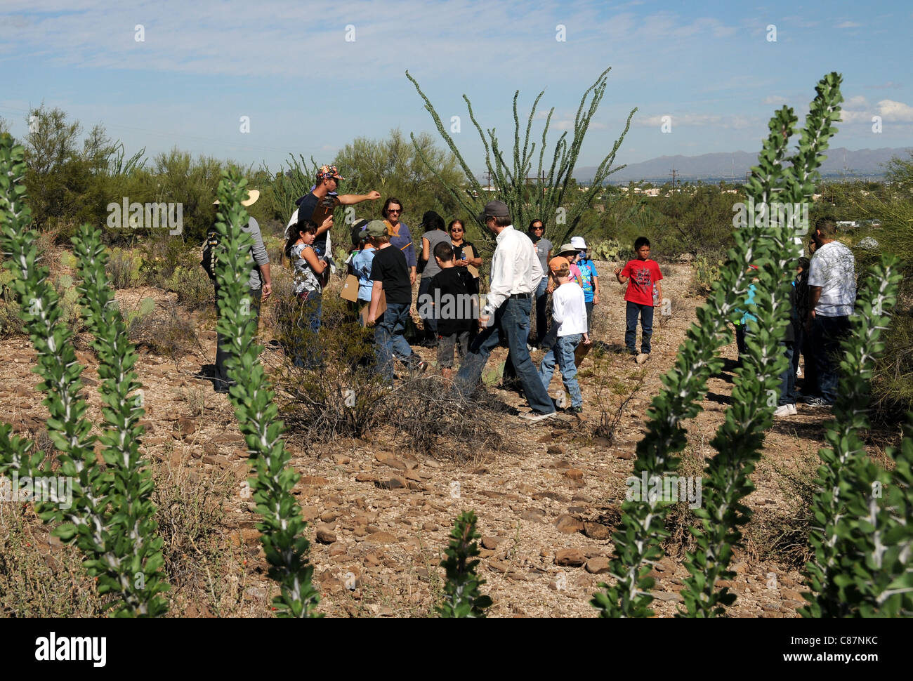 Gli studenti della scuola elementare studiare il Deserto Sonoran in Tucson, Arizona, Stati Uniti. Foto Stock
