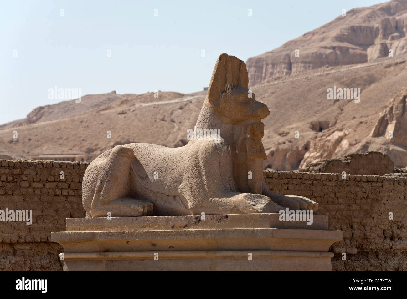 Statua di Anubis al di fuori del recinto di mura del Ramesseum, West Bank, Luxor, Egitto, Africa Foto Stock