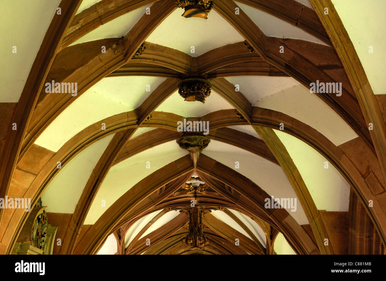 Nervatura gotico-soffitto nel chiostro del Basilea Münster, Basilea, Svizzera Foto Stock
