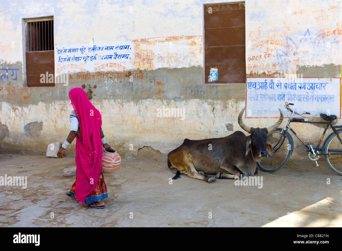 Donna indiana portando acqua pot passato un toro giacente dal tempio indù di Narlai village nel Rajasthan, India settentrionale Foto Stock