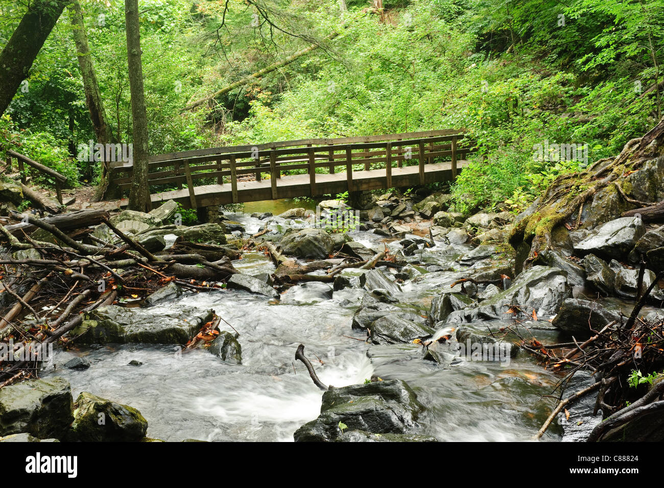 Primo piano di un ponte su un torrente di montagna Foto Stock