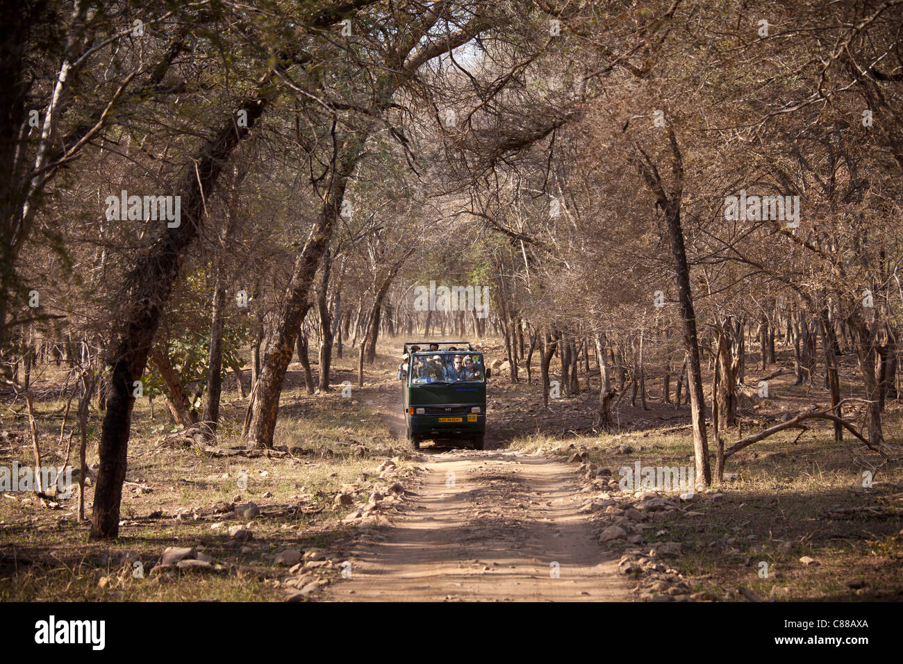 Tour di gruppo eco-turisti in Ranthambhore National Park, Rajasthan, India settentrionale Foto Stock