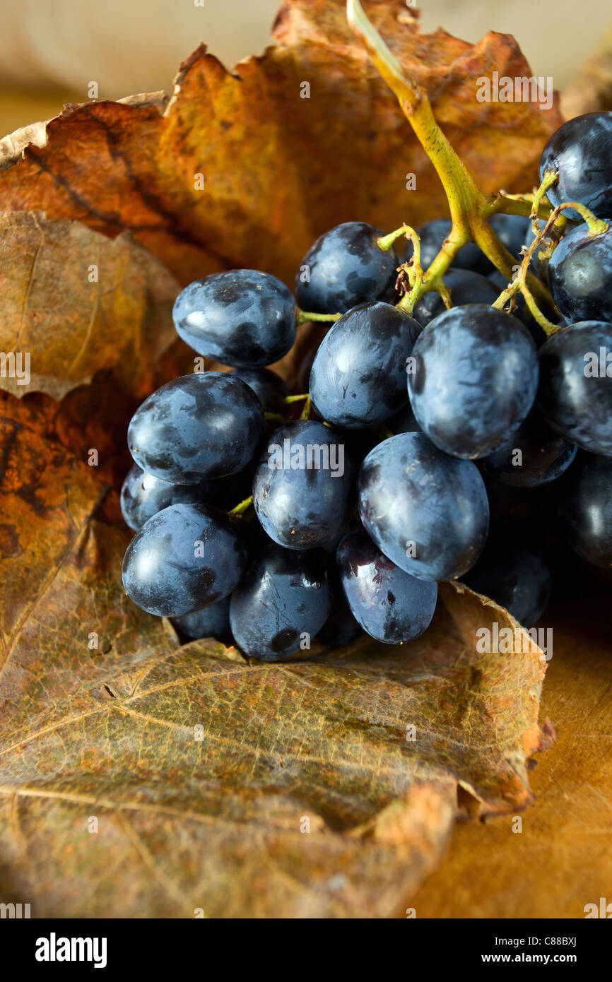 Mature uve rosse e la asciugò foglie marrone. Foto Stock