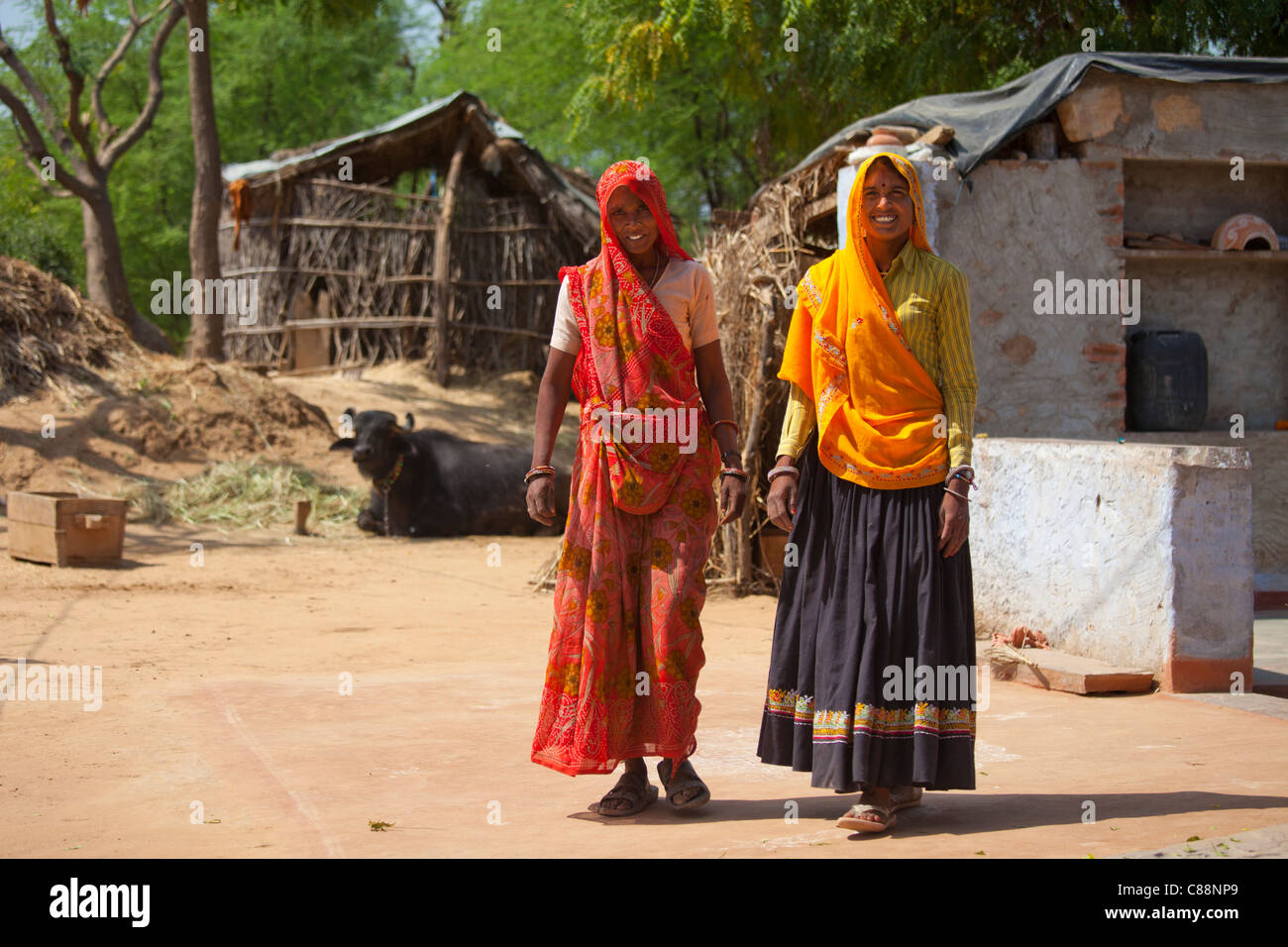 Donna indiana che gli abitanti di un villaggio a casa al villaggio Kutalpura nel Rajasthan, India settentrionale Foto Stock