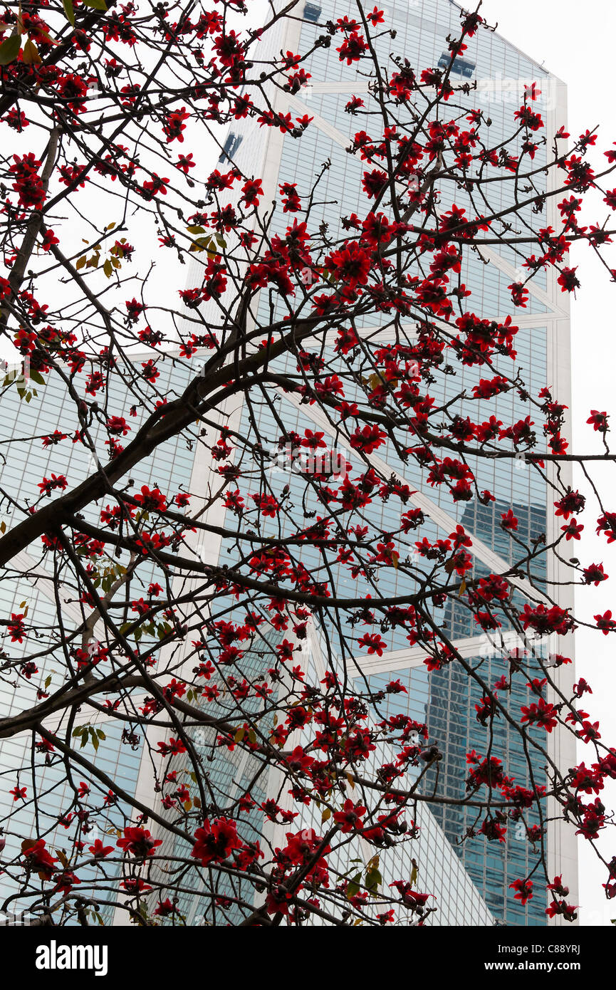 La Banca di Cina grattacielo edificio con una fioritura rossa Cotton Tree in primo piano Isola di Hong Kong Cina Asia Foto Stock
