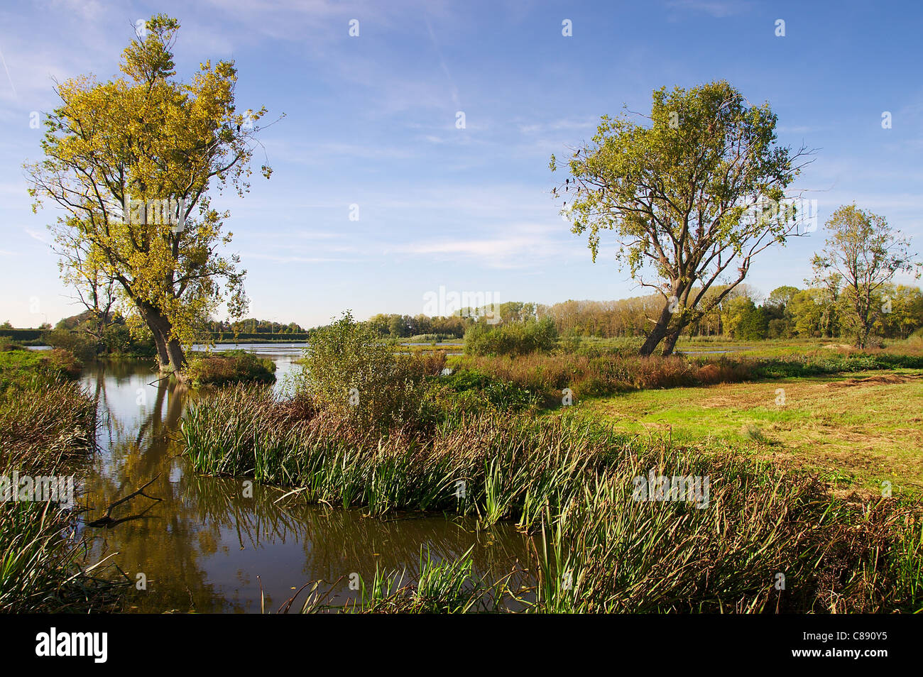 Tra il centro di Ghent e autostrada surprissing natura Foto Stock