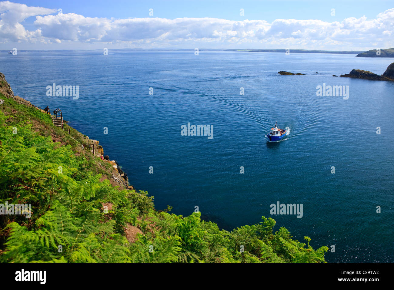 L'imbarcazione turistica che arrivano a Skomer Pembrokeshire Wales Foto Stock