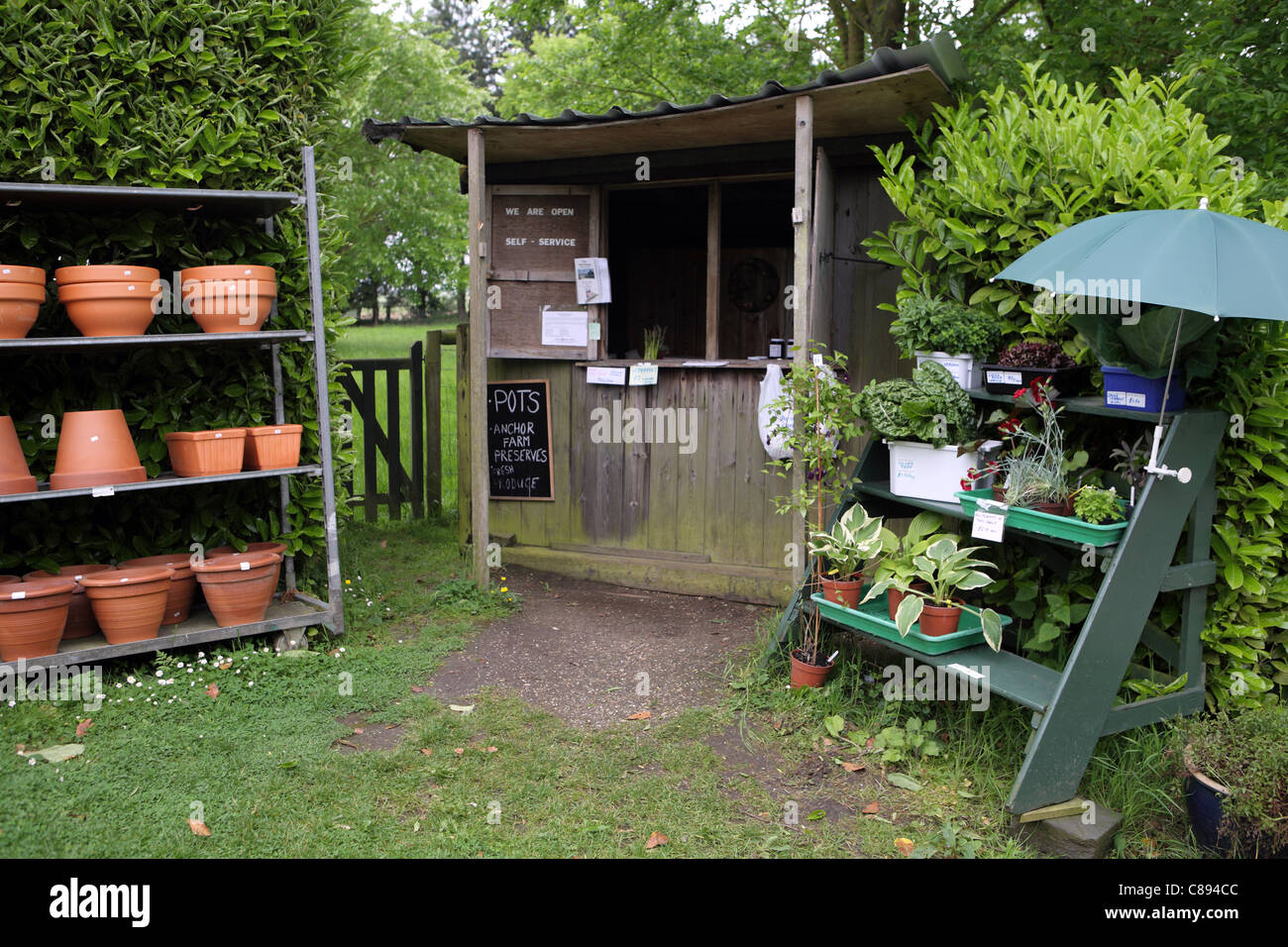 Stallo in country garden, offrendo fiori e vasi di terracotta per la vendita, Iken, Suffolk, Regno Unito Foto Stock