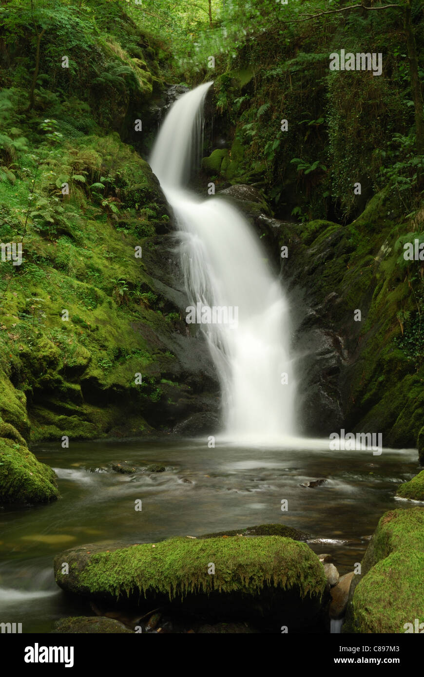 Dolgoch Falls, Snowdonia, Wales, Regno Unito Foto Stock