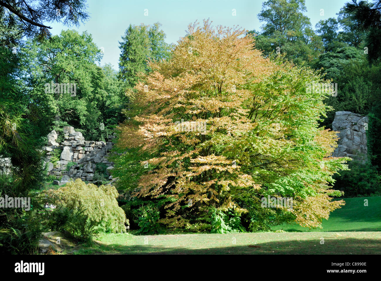Vedute di giardini e sculture classiche,fiori con un luminoso cielo blu sfondi Foto Stock