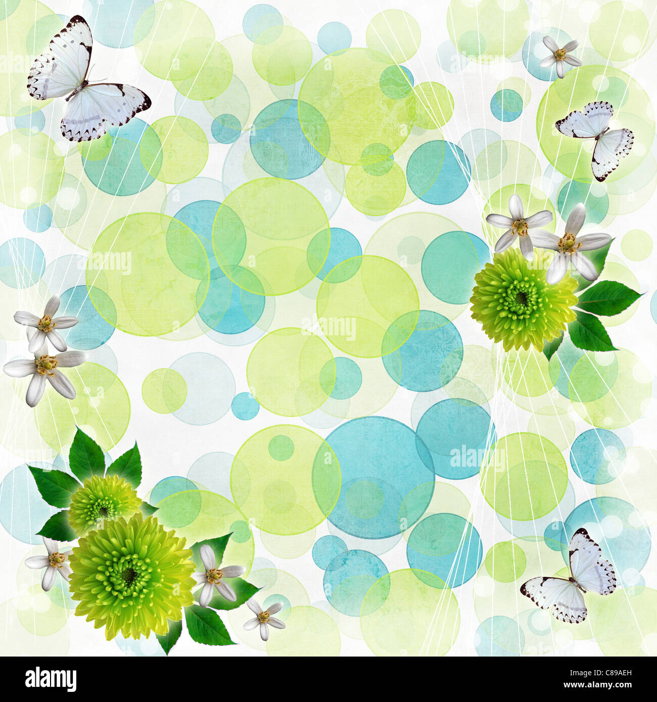Il verde e il blu di sfondo bokeh di fondo con cornici decorative, farfalle e fiori Foto Stock