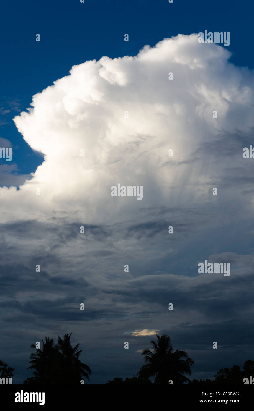 Cumulonimbus cloud forme in inscurimento cieli sopra di palme di cocco in Thailandia Foto Stock