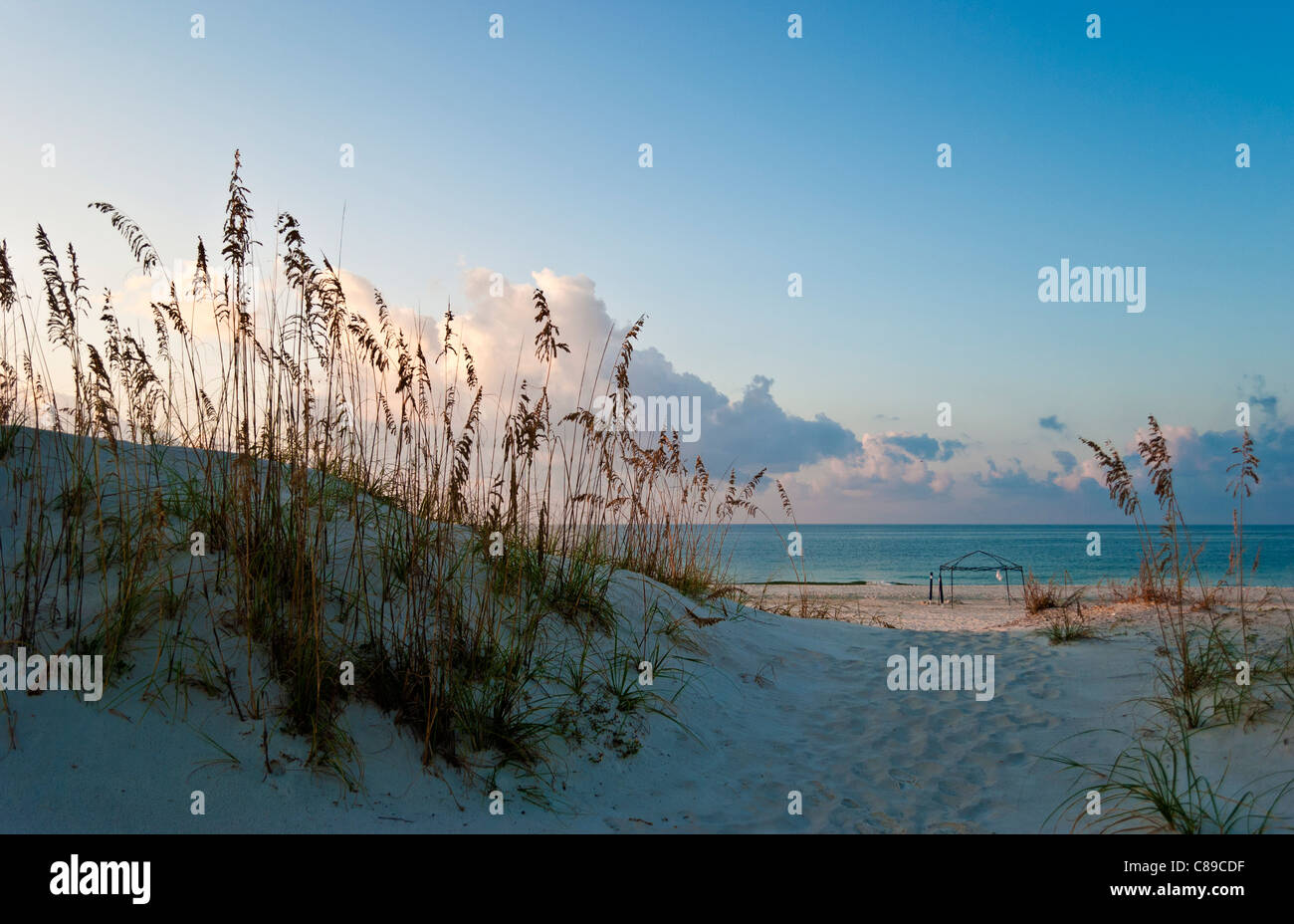 Dune di sabbia e l'oceano di scena a Costa del Golfo Foto Stock