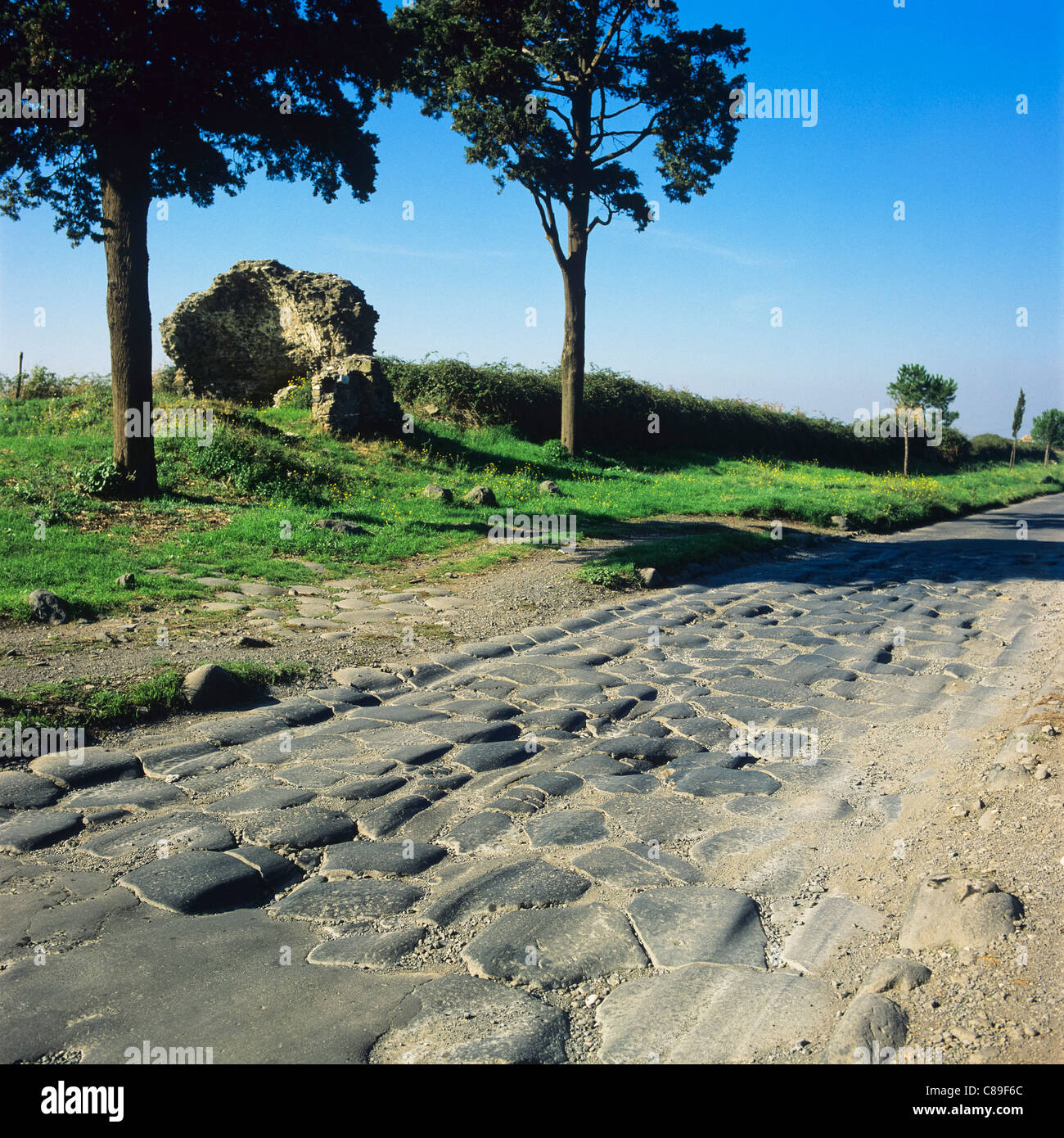 Via Appia Antica Via Appia Antica strada fuori Roma Italia Foto Stock