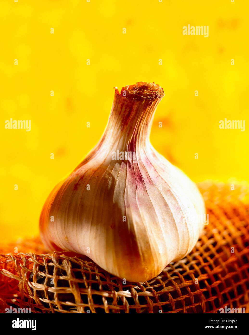 Testa d'aglio Foto Stock