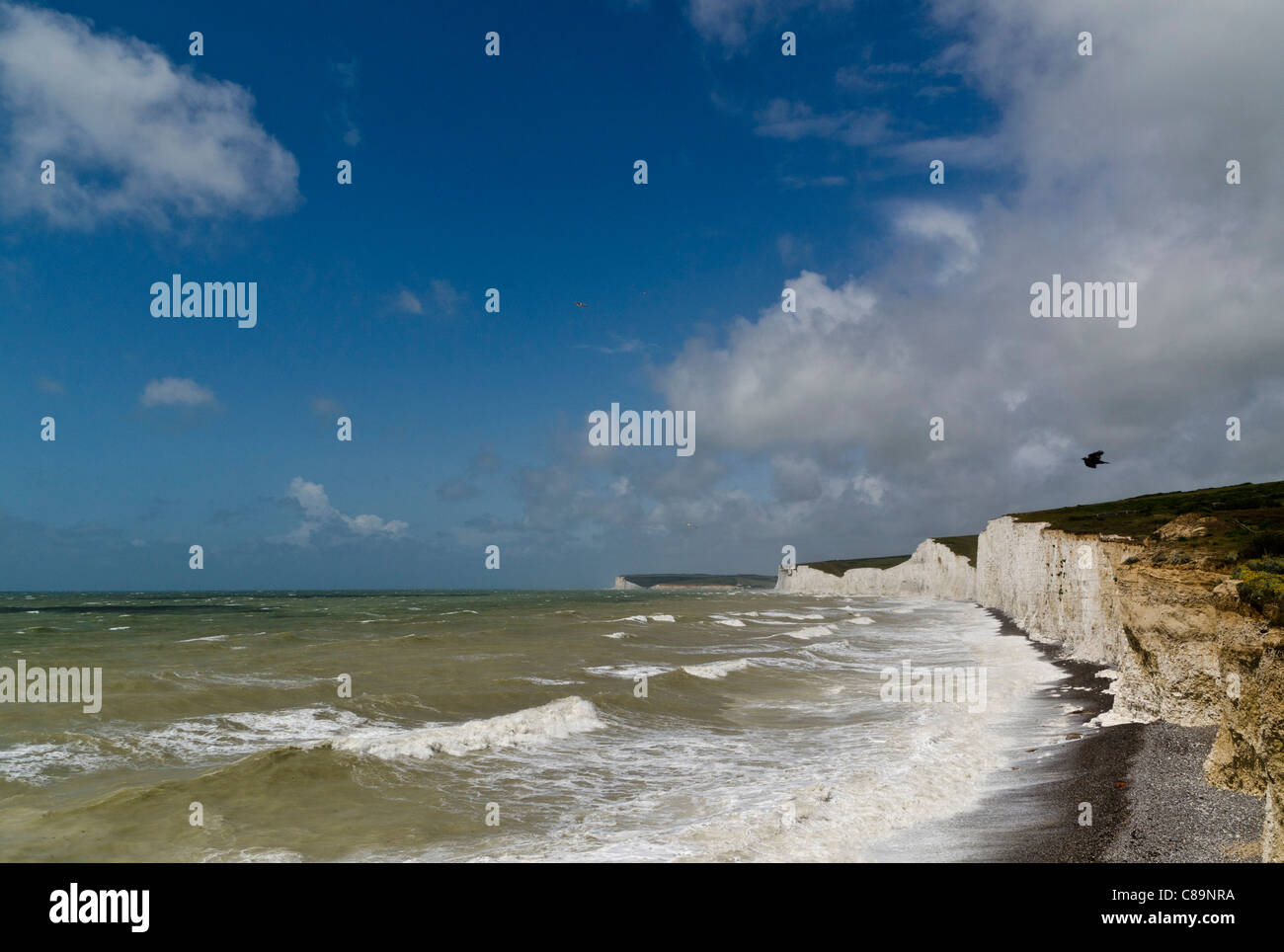 Scogliere e mare a Brighton Inghilterra Foto Stock