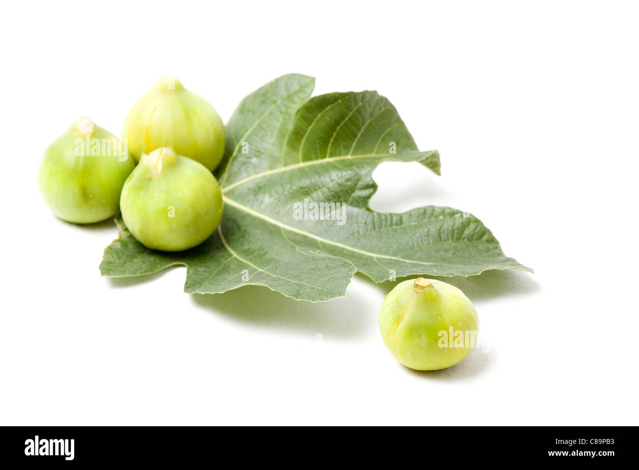 Le figure sulla foglia di fico isolato su bianco. Focus sulla destra esterno di fig. Foto Stock