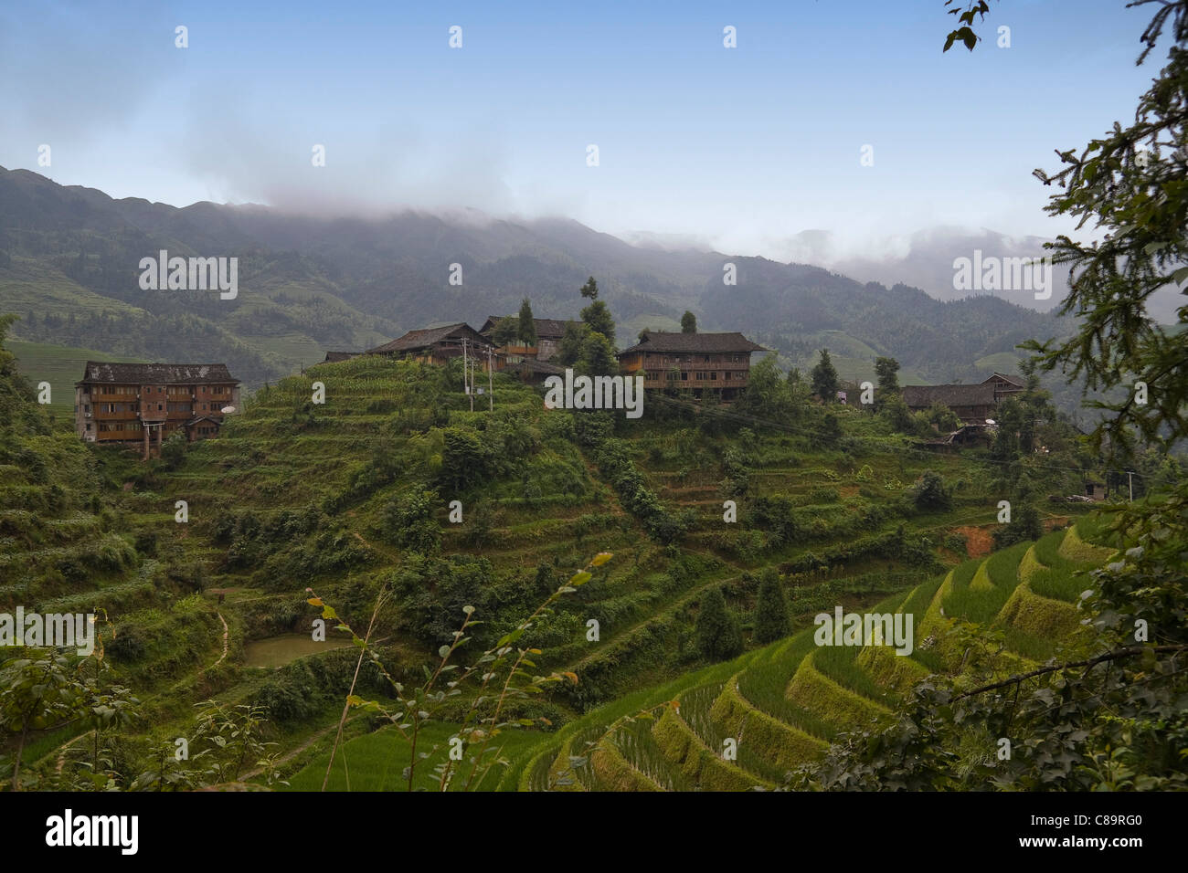 Cina, vista di riso terrazzati campo e casolari Foto Stock