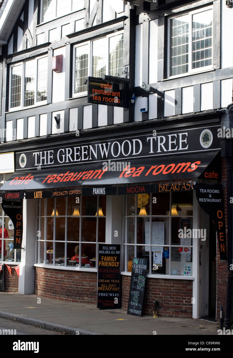 La struttura ad albero di Greenwood Café, Lyndhurst, New Forest, Hampshire, Inghilterra, Regno Unito, GB. Foto Stock