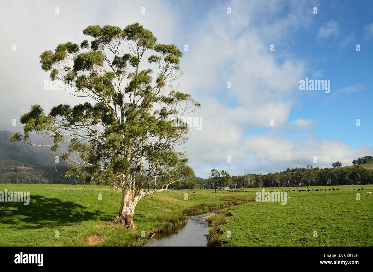 Australia e Tasmania, Paradiso, vista campagna Foto Stock