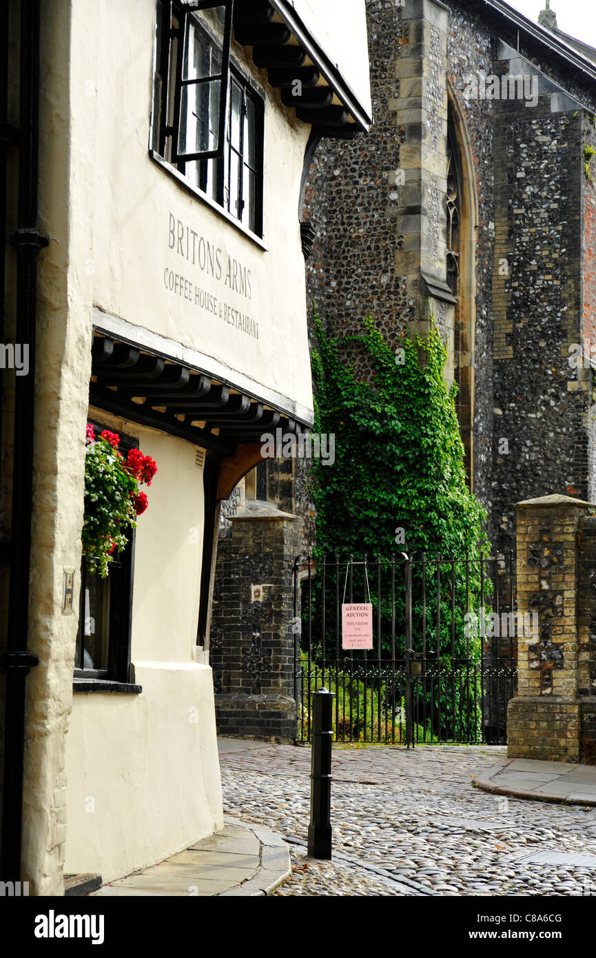 I bracci di britannici in Elm Hill, Norwich Foto Stock