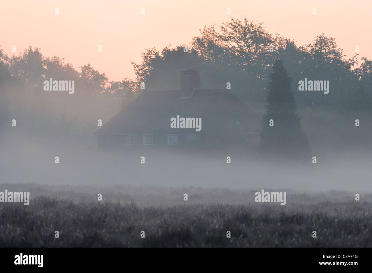Scena di prima mattina di una casa circondata dalla nebbia. Foto Stock