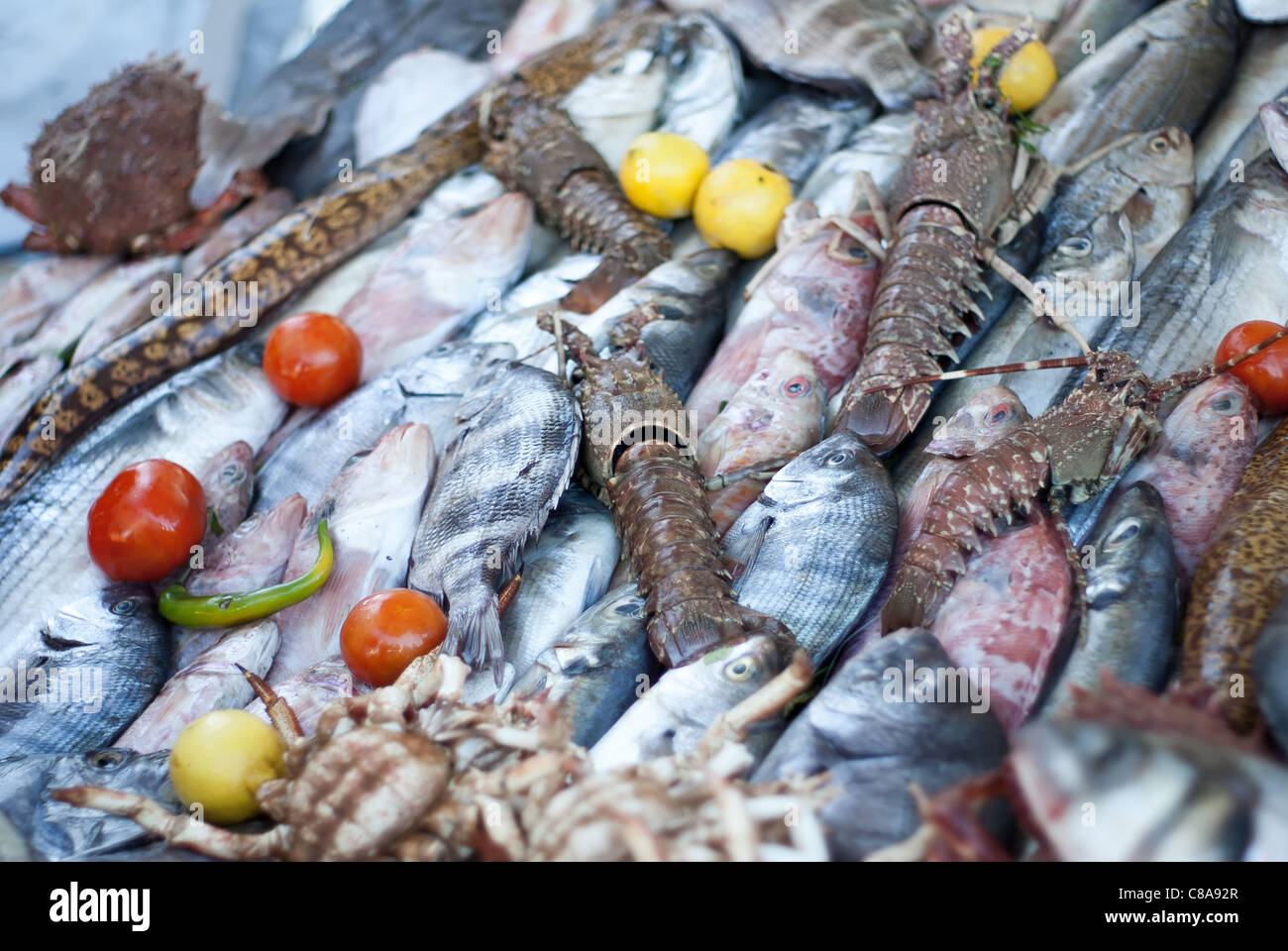 Varietà di fila pesce fresco e frutti di mare Foto Stock