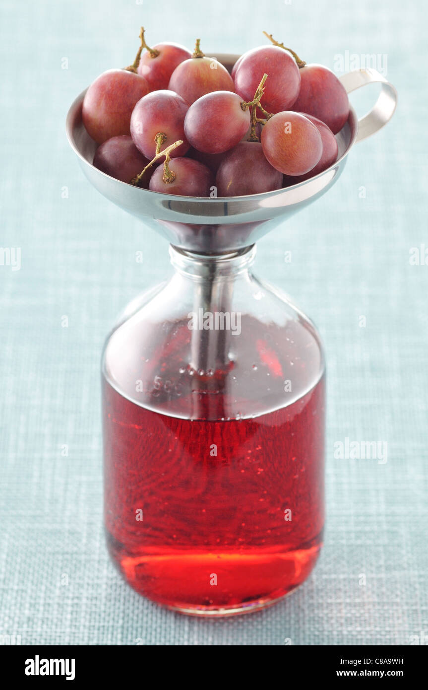 La preparazione di succhi di uve Foto Stock