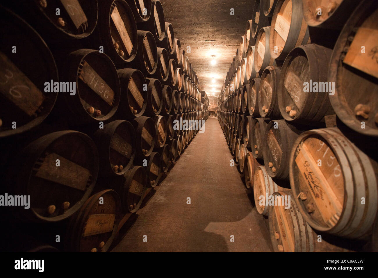 Vina Tondonia Bodega cantine con botti di rovere, in Haro La Rioja Spagna 110560 Spagna Foto Stock